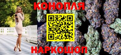спайс Будённовск