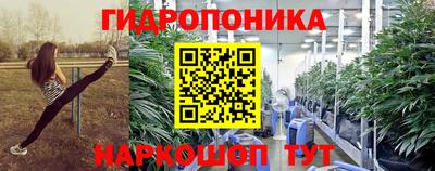 спайс Будённовск