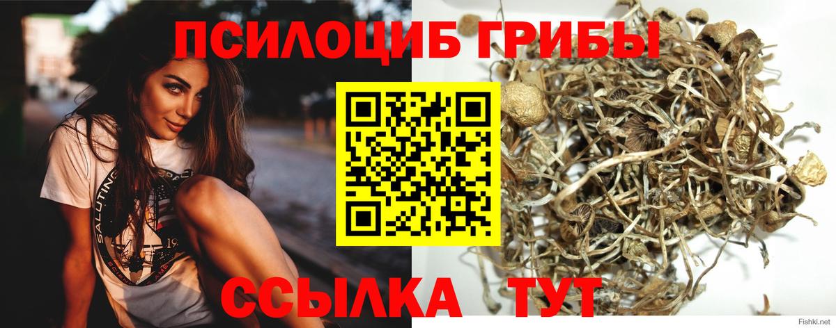 Псилоцибиновые грибы Magic Shrooms  Вход с VPN  Приморско-Ахтарск 